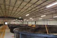 IMG-20240124-WA0075