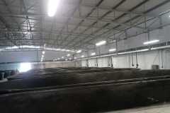 IMG-20240124-WA0077