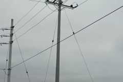 IMG-20240124-WA0079