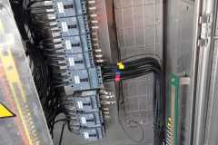 IMG-20240124-WA0081