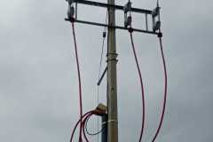 IMG-20240124-WA0096